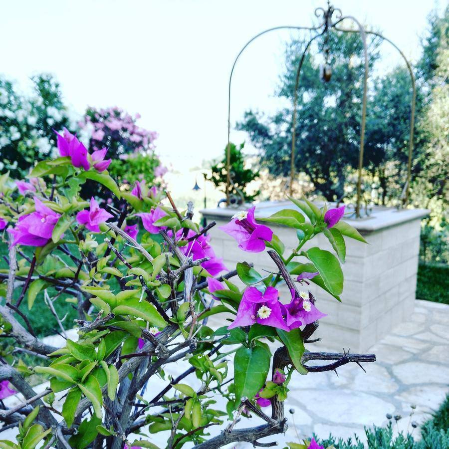 B&B Le Dive Ostra ภายนอก รูปภาพ